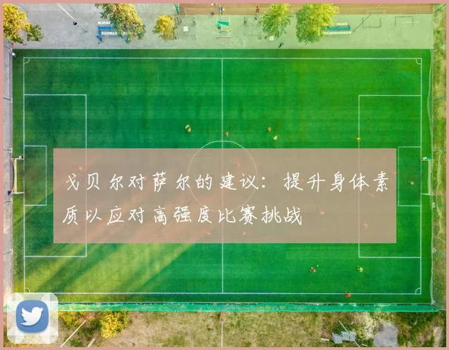 戈贝尔对萨尔的建议：提升身体素质以应对高强度比赛挑战